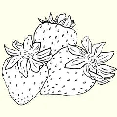 conditioner strawberry icon