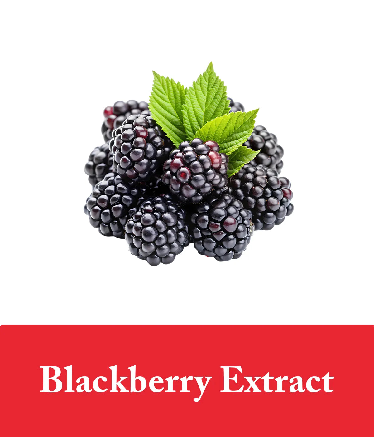 strawberry conditioner with blackberry extract