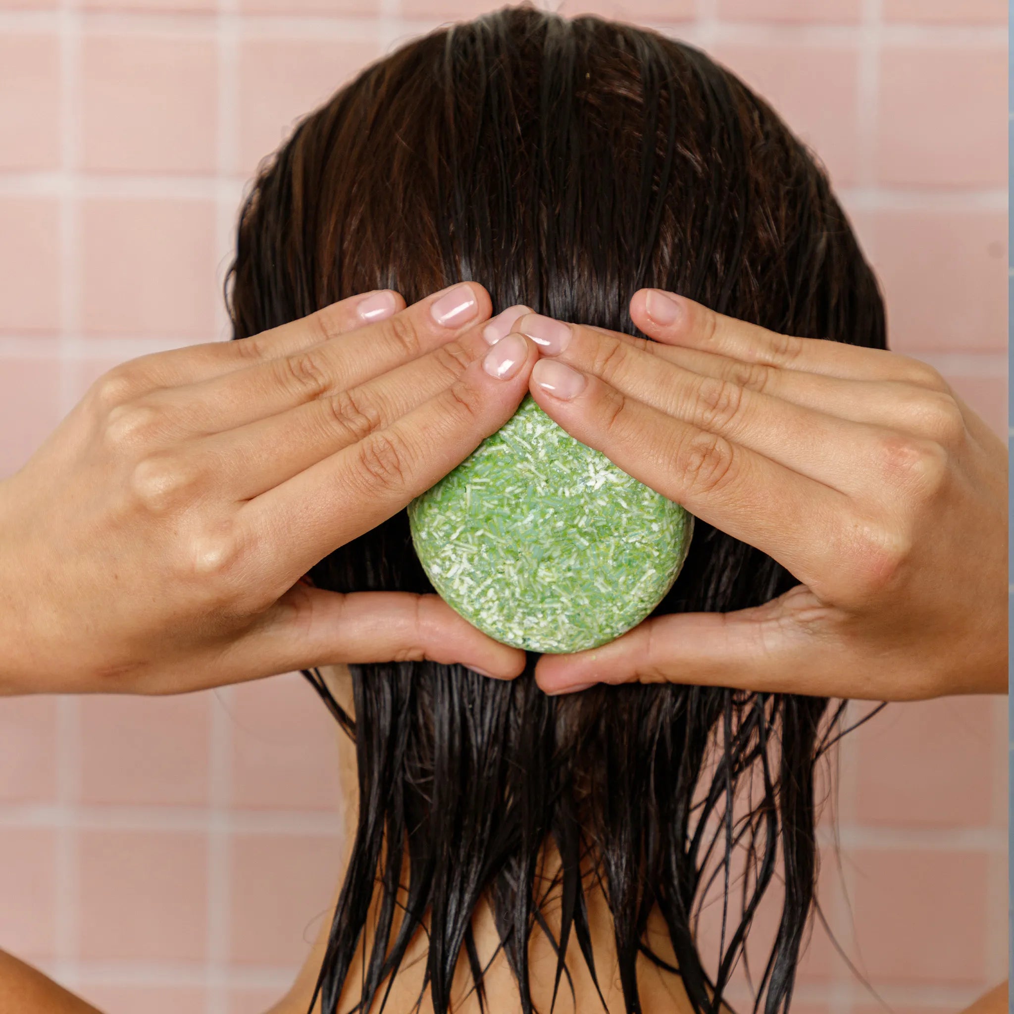 bar shampoo tea tree