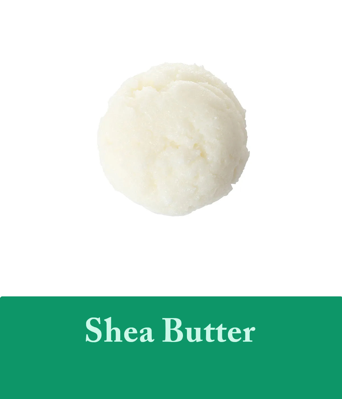 shea butter in tea tree shampoo and tea tree soap