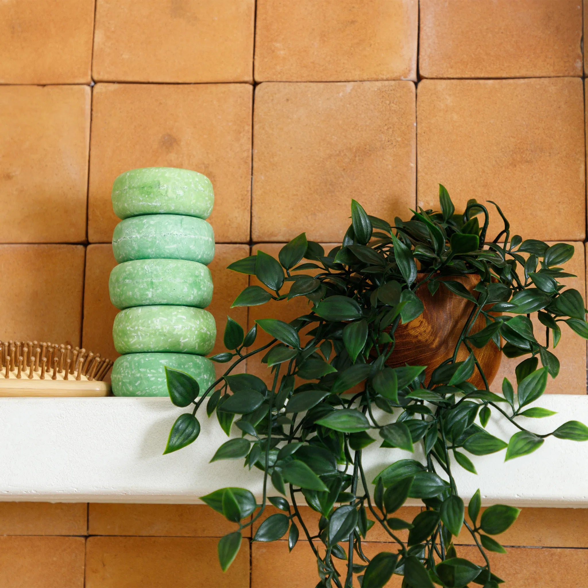 Shampoo + Conditioner For Gray Hair