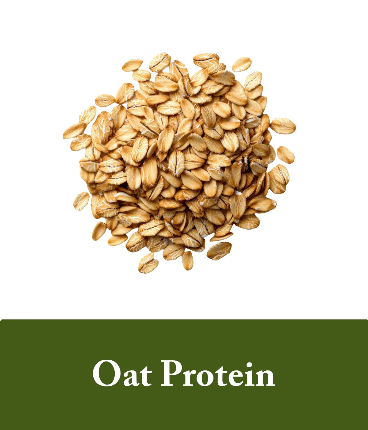 unscented shower bundle hydrolyzed oat protein