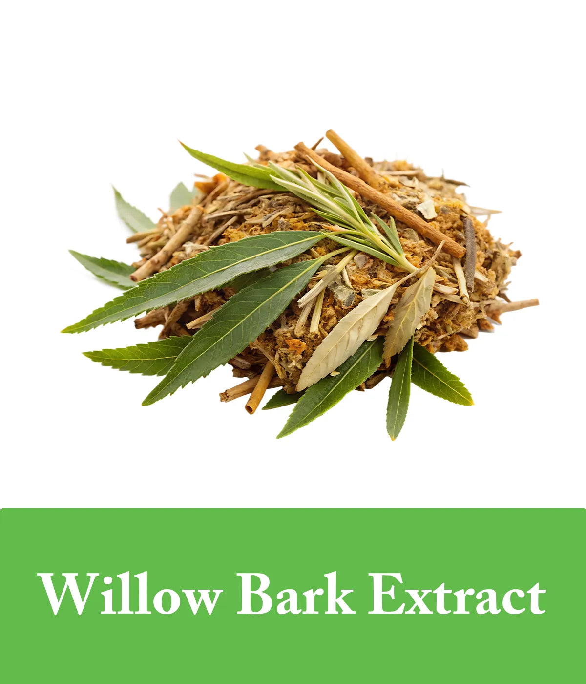 green tea shampoo with willow bark extract